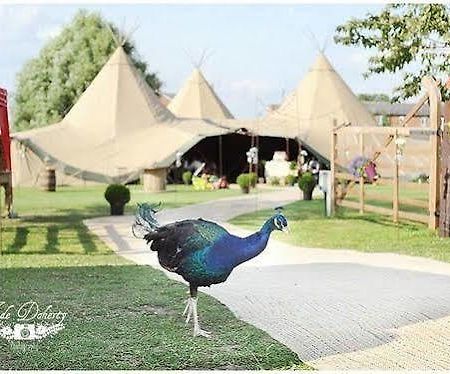 Skipbridge Farm Shepherds Huts Campground Green Hammerton 外观 照片