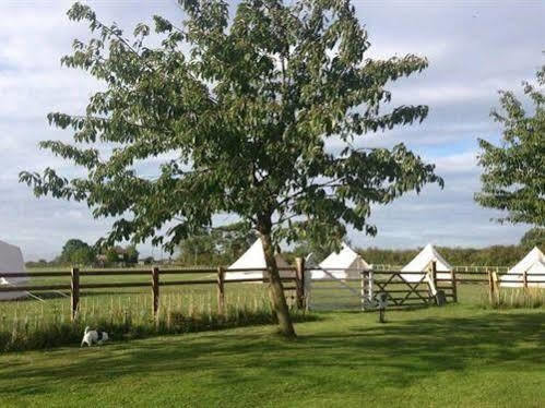 Skipbridge Farm Shepherds Huts Campground Green Hammerton 外观 照片